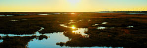 Ria Formosa Algarve