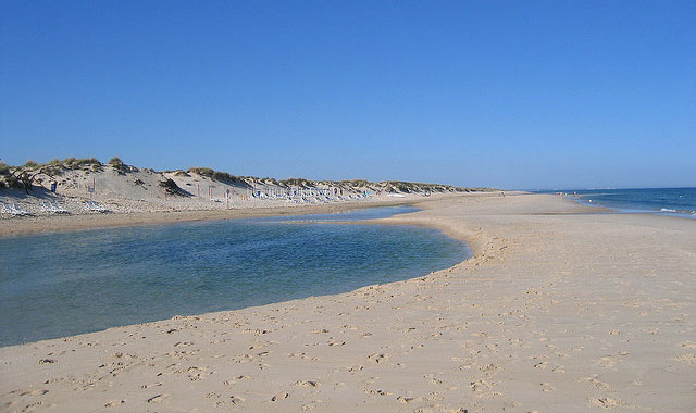 Praia do Barril or  Barril Beach near Santa Luzia, Tavira